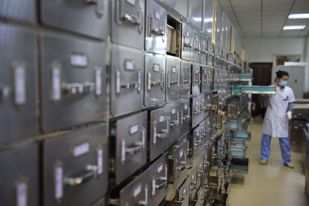 A laboratory technician organizes metal storage drawers in a research facility, maintaining order and efficiency.